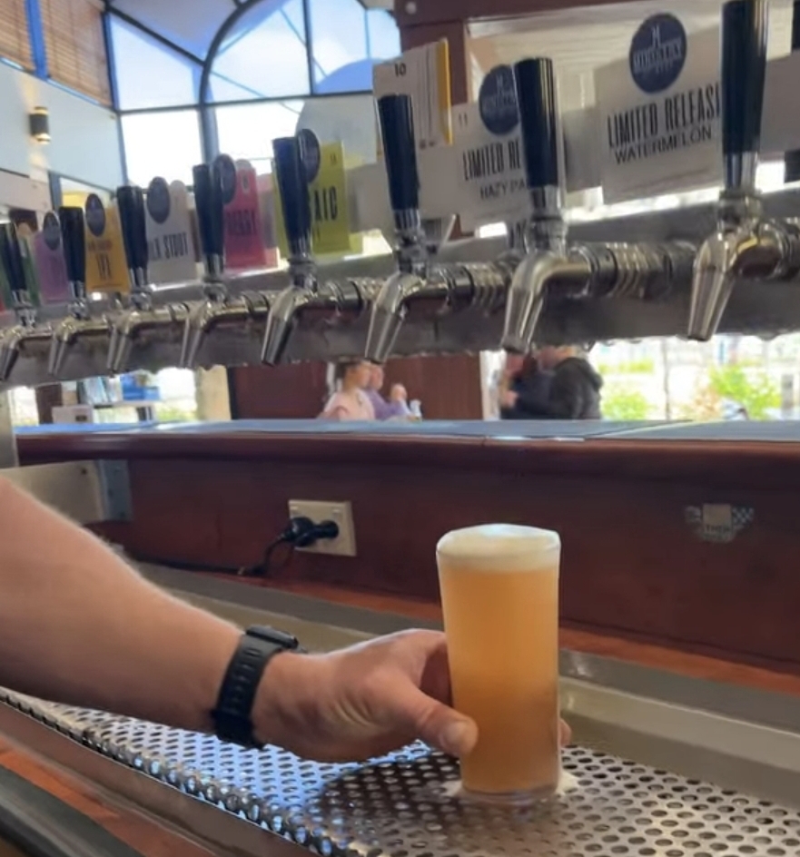 Barossa Valley Craft Brewery Tours