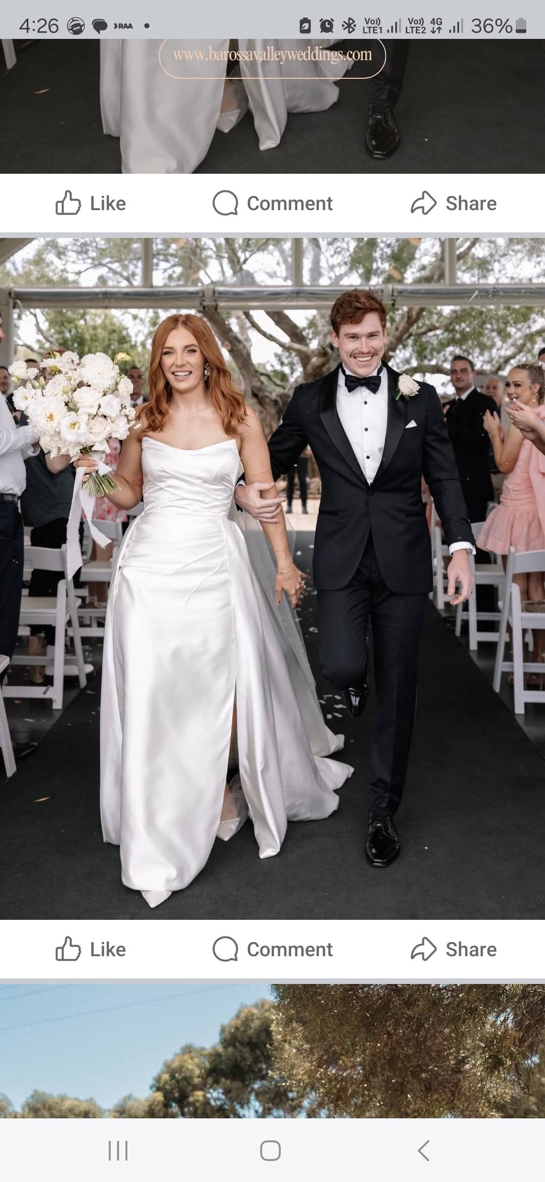 Wedding Transport Coordination